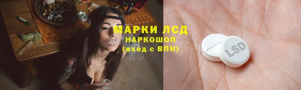 крисы Армянск