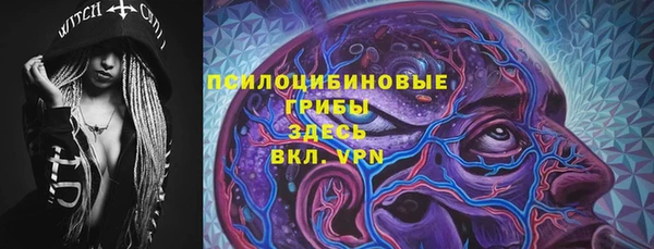 крисы Армянск