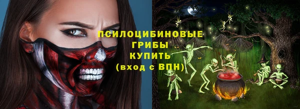 крисы Армянск