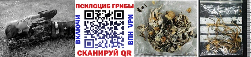 даркнет сайт  Петушки  Псилоцибиновые грибы прущие грибы 